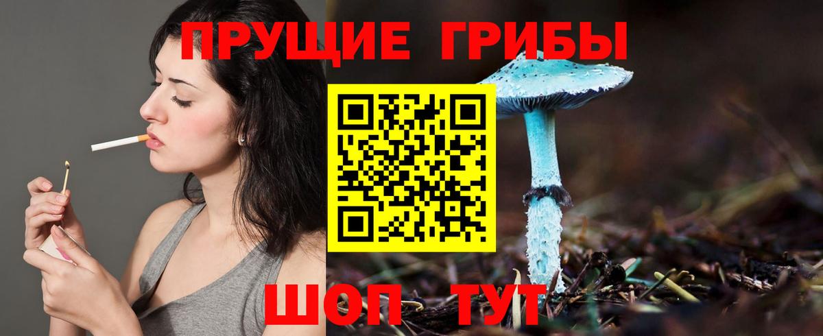 Галлюциногенные грибы прущие грибы Заречный